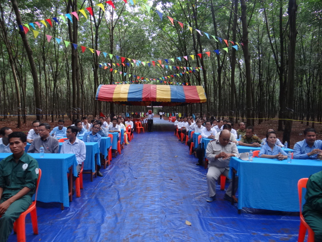 Nguyên nhân gì khiến giá cao su giảm và triển vọng
